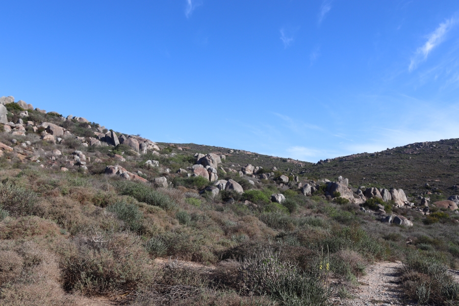 0 Bedroom Property for Sale in Steenbergs Cove Western Cape
